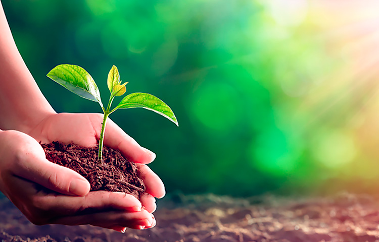 ����������(�й�)������-�й�����